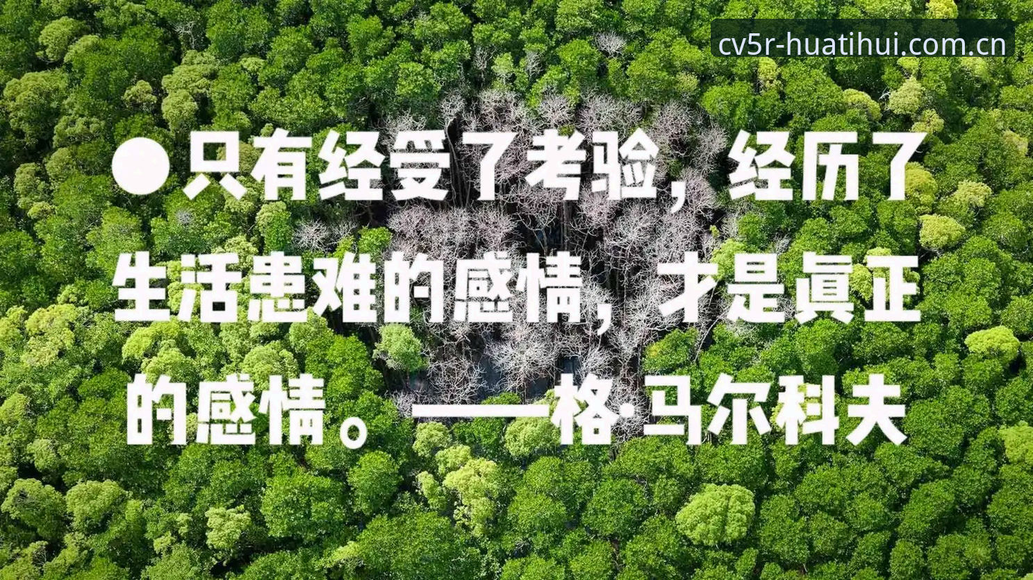 揭秘友谊赛背后的“暗线”：劳塔罗扛旗之夜，阿根廷的真正考验在哪？